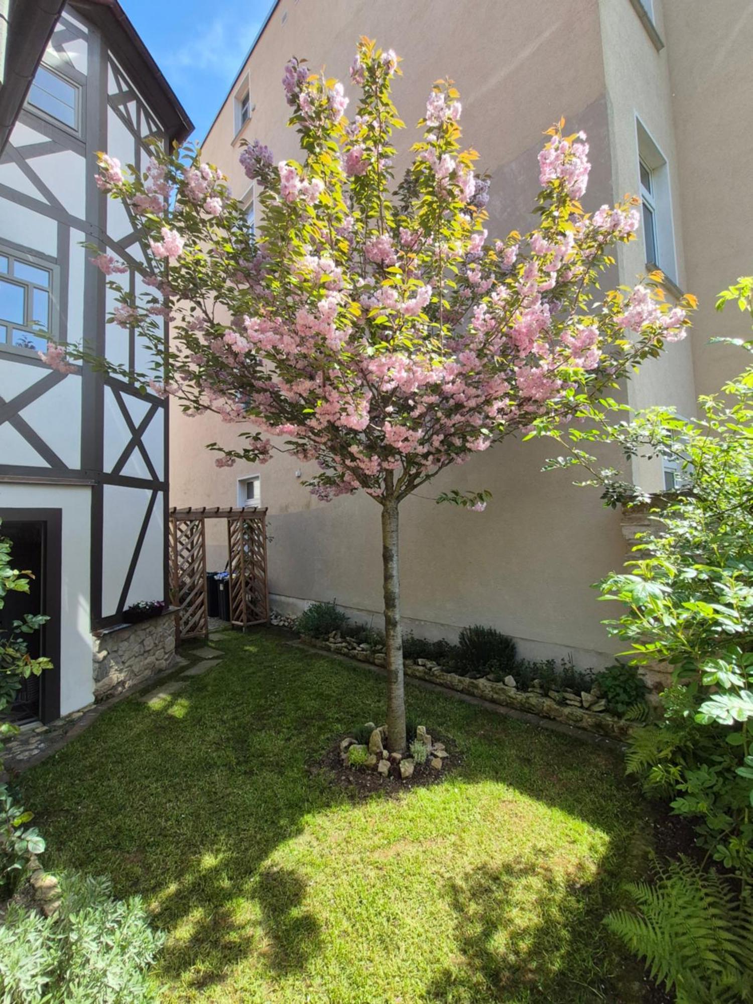 Aussergewoehnliches, Historisches, Spaetgotisches Wohnhaus Von 1519, Gries 5 Gera Eksteriør bilde